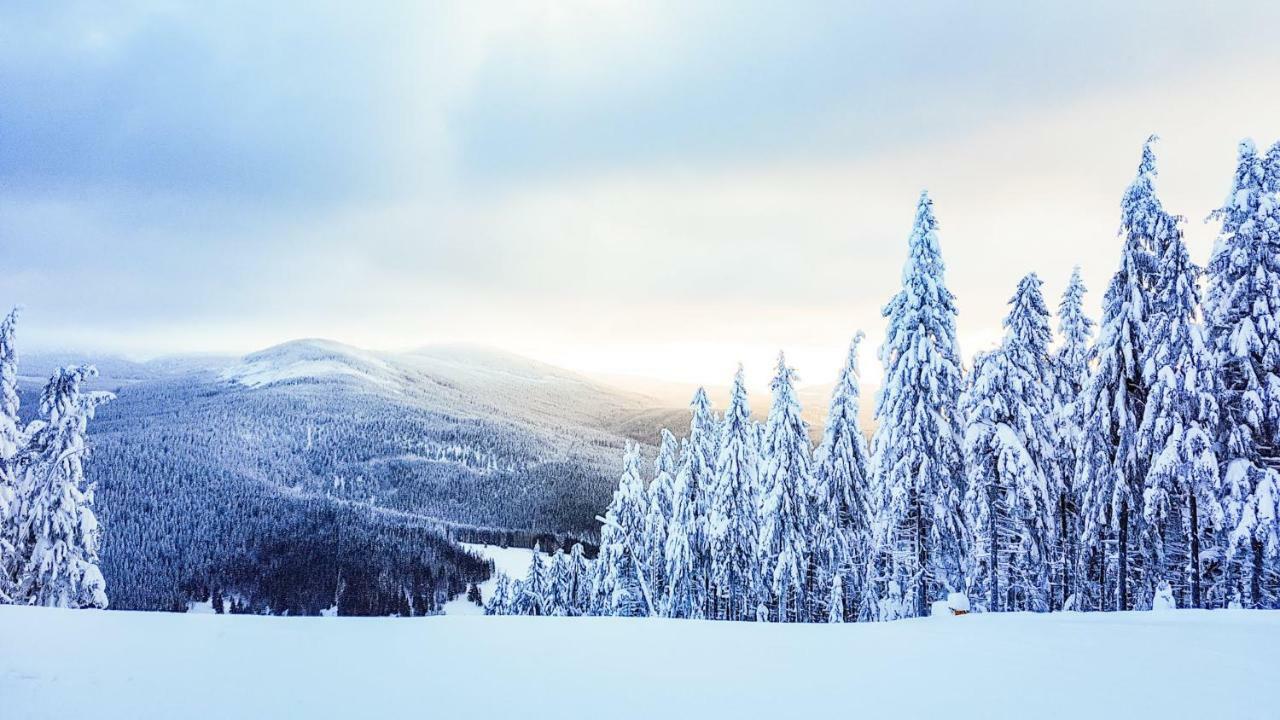 Mumlava 5 * Harrachov