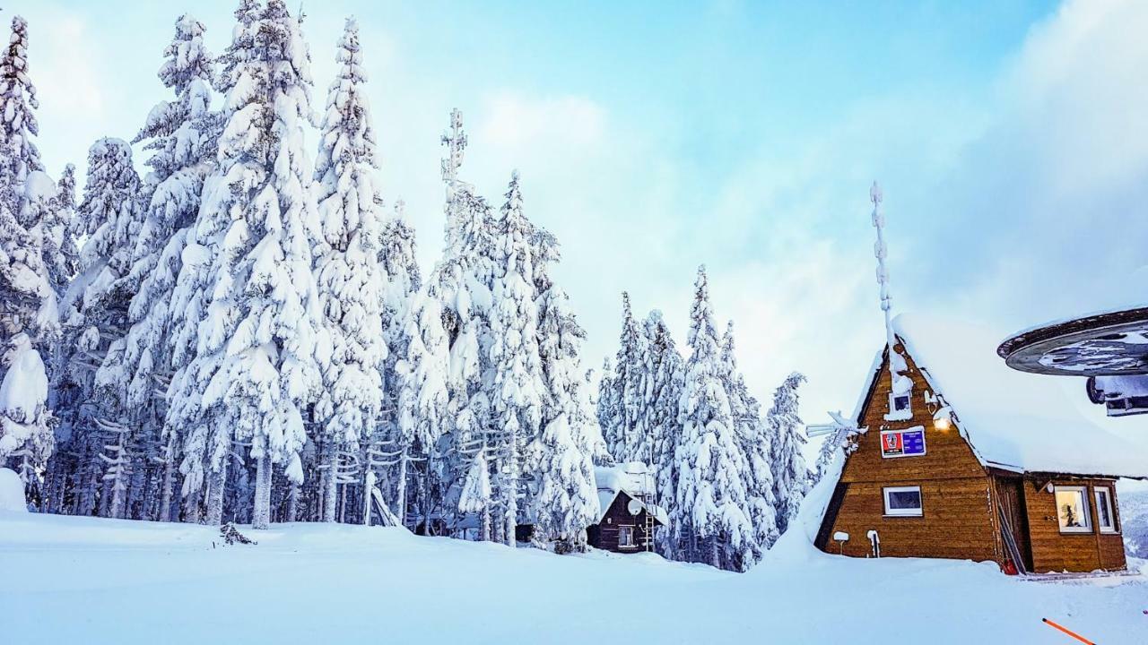 Apartment Mumlava 5 Harrachov